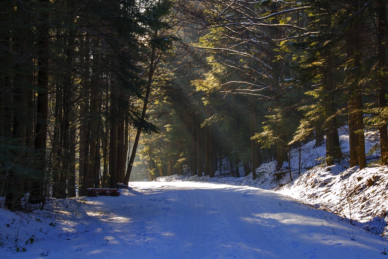 How to Paint a Snowy Winter Landscape